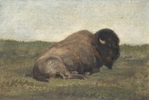 Bisonte sdraiato da Antoine Louis Barye