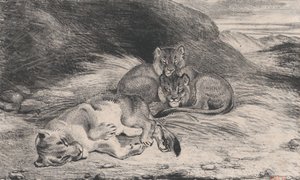 Leonessa e cuccioli, possibilmente 1832 da Antoine Louis Barye