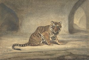 Tigre