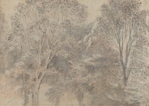 Cime degli alberi [verso] da Antoine Watteau