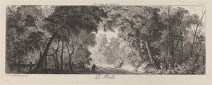 La foresta