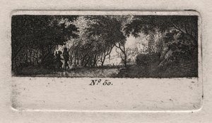 Vista di un bosco
