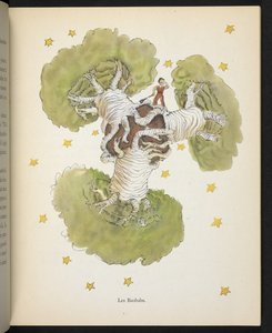 I Baobab, illustrazione da 