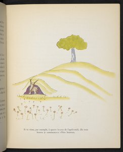 La Volpe, illustrazione da 