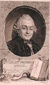 Ritratto di Johann Friedrich Meckel (1724-76) inciso da John Schleuen da Anton (after) Graff
