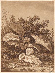 Studio di Foglie, c. 1800