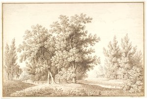 Parco con corso d