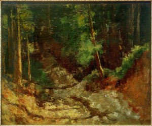 Interno della foresta