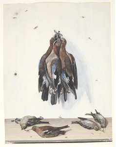 Natura morta con uccelli