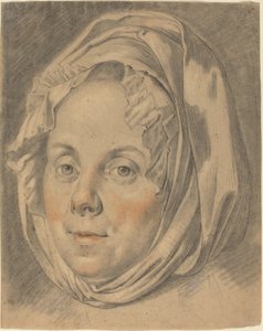 Testa di una matrona da Anton Johann Tischbein