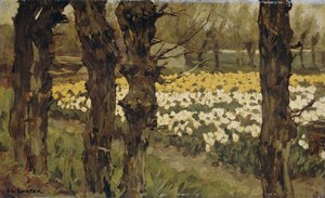 Campi di tulipani da Anton L. Koster