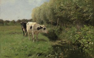  da Anton Mauve