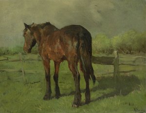 Cavallo da Anton Mauve