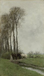 Cavalli al cancello da Anton Mauve