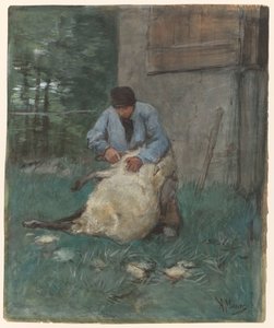 Tosatore di pecore da Anton Mauve