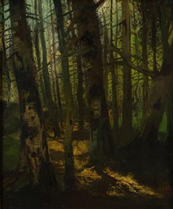 Disboscamento da Anton Müller Wischin