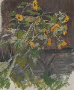 Girasoli da Anton Nowak