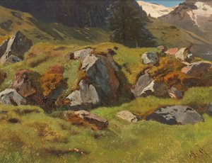 Studio delle rocce a Ferleiten