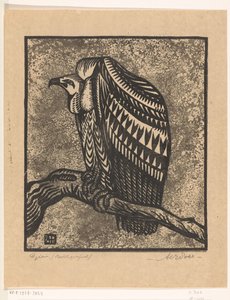 Avvoltoio da Anton Vincent Emanuel Pohl (signed by artist)