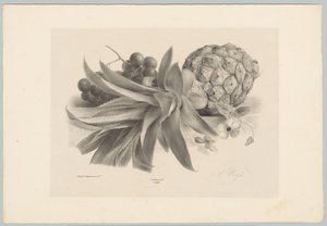 Ananas e uva da Anton Weiss