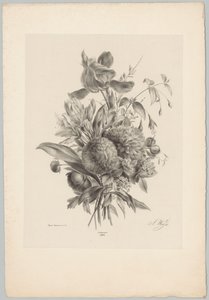 Garofani e gigli da Anton Weiss