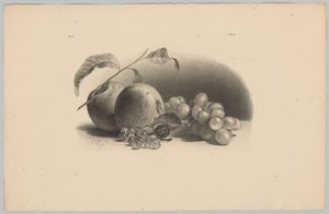 Mele, bacche, mora e uva (serie: Studi di fiori e frutta, 3ª puntata) da Anton Weiss