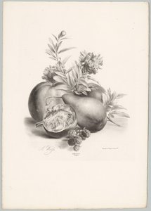 Fiori, mele, pera, melograno e more da Anton Weiss