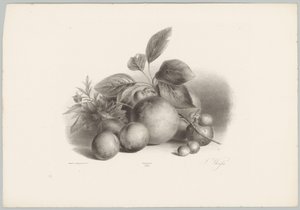 Fiori, nettarine e nocciole da Anton Weiss
