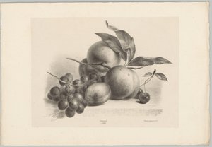 Uva, prugna, pesche e ciliegie (serie: Studi di fiori e frutti, 10ª puntata) da Anton Weiss