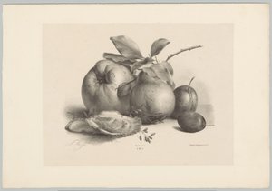Frutta, prugne e ostriche da Anton Weiss