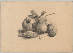 Frutta, prugne e ostriche da Anton Weiss