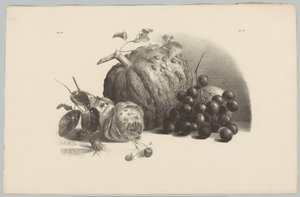 Zucca, uva, rosa e fragole da Anton Weiss