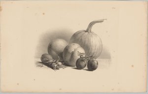 Zucca, pesche, albicocca, prugne e nocciole (serie: Studi di fiori e frutta, 3ª puntata) da Anton Weiss