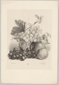 Uva rossa e bianca e mele da Anton Weiss