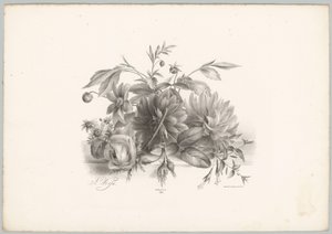 Rose, dalie e fucsie da Anton Weiss
