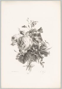 Rose e fiori a calice da Anton Weiss