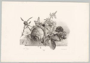 Rose, gigli, fiori a campana e farfalla (serie Bloem en Fruit Studien, 10e aflevering) da Anton Weiss