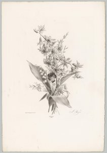 Violetta e fiori a forma di giacinto e campana da Anton Weiss