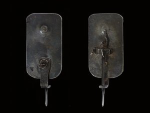 Microscopio, c.1690 da Antoni van Leeuwenhoek