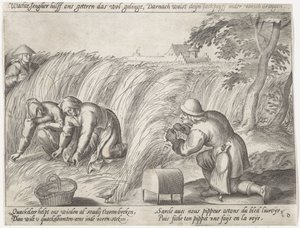 Diserbo nei campi da Antonie Wierix (II) (possibly)