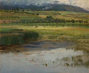 Lo stagno annegato da Antonin Chittussi