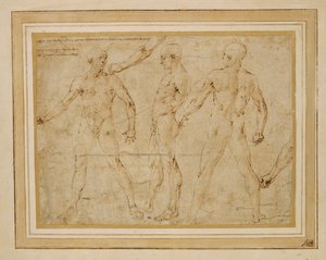 Tre nudi maschili, di fronte, di spalle e di profilo; ...