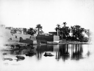 Luxor vista da una barca sul Nilo, c.1860-80 da Antonio Beato