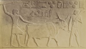 Toro sacro a Saqqara