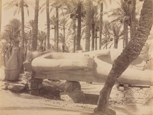 Statua di Ramesse a Saqqara