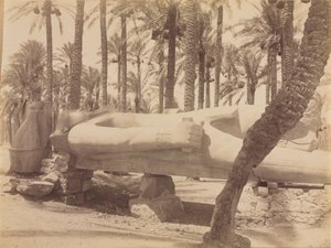 Statua di Ramesse a Saqqara, c. 1870s-1880s