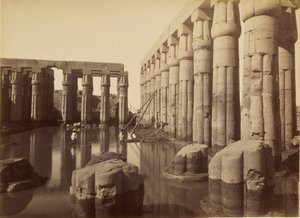 Il cortile allagato di Amenhotep III nel tempio di Luxor da Antonio Beato