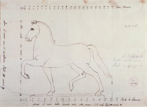 Studio per un cavallo per un monumento equestre (disegno)