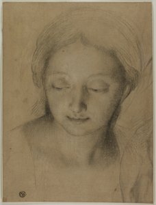 Testa di donna