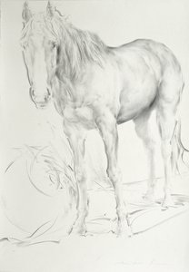 Cavallo a Coolmore, 1990